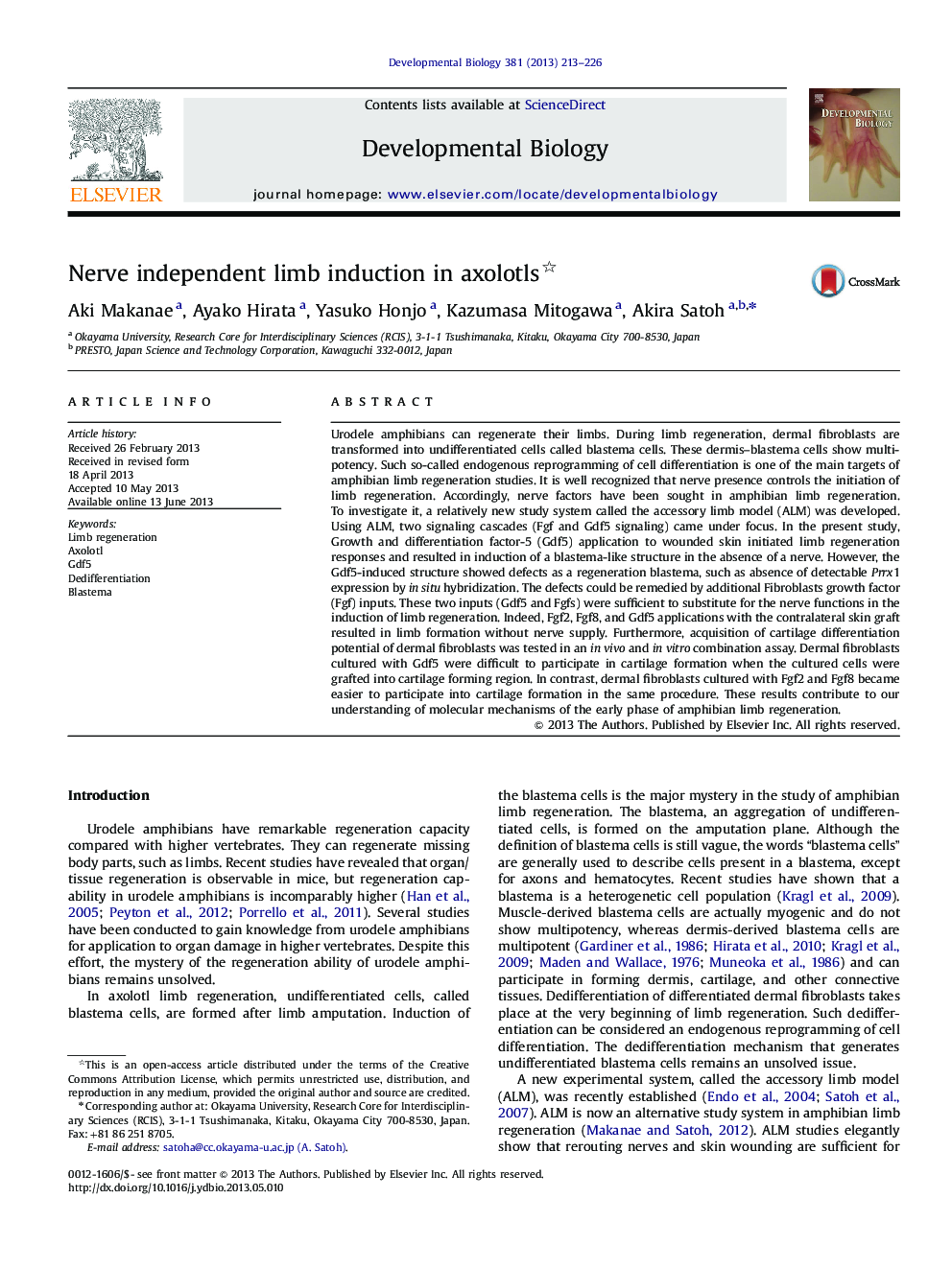 Nerve independent limb induction in axolotls