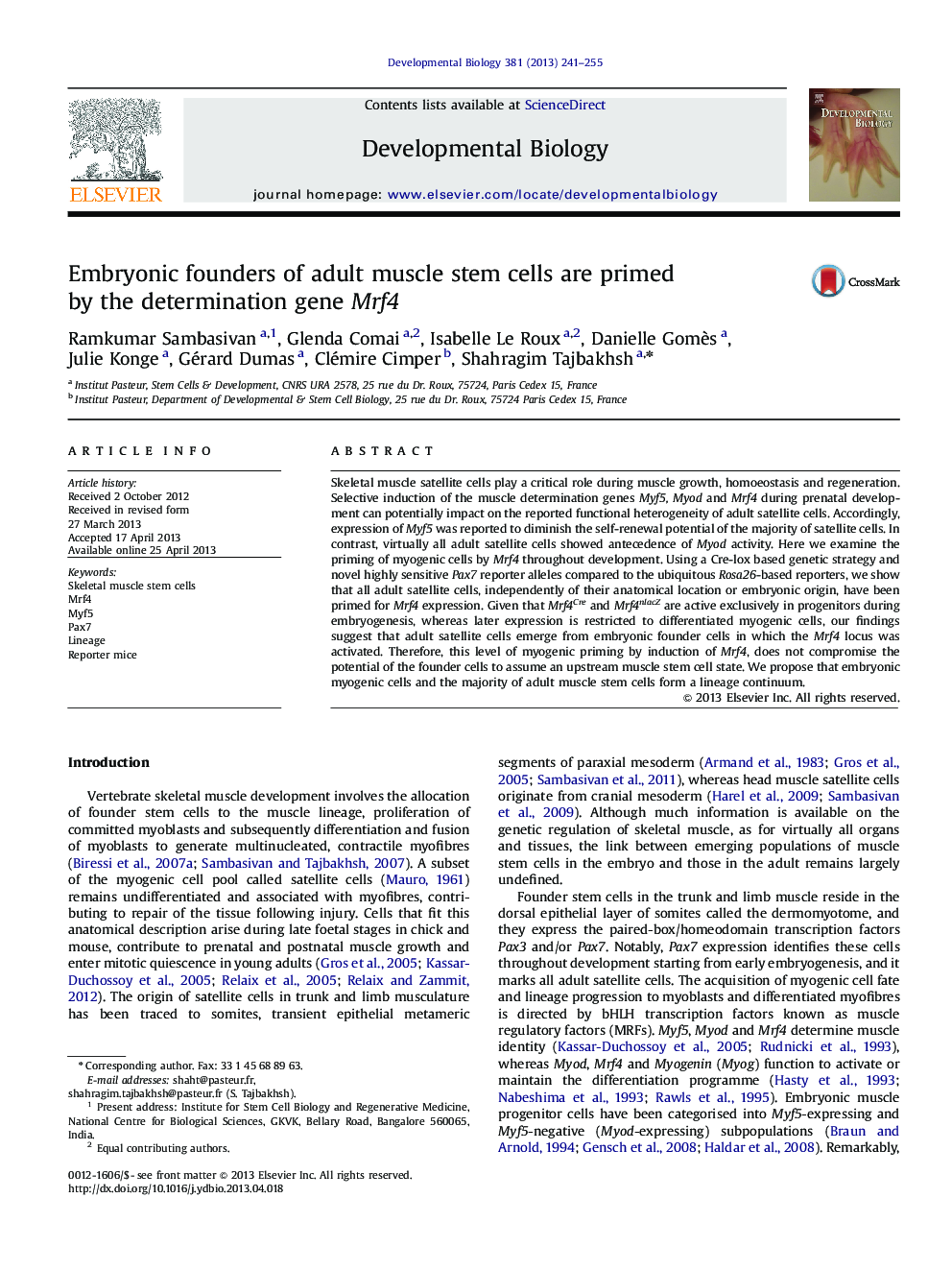 Embryonic founders of adult muscle stem cells are primed by the determination gene Mrf4