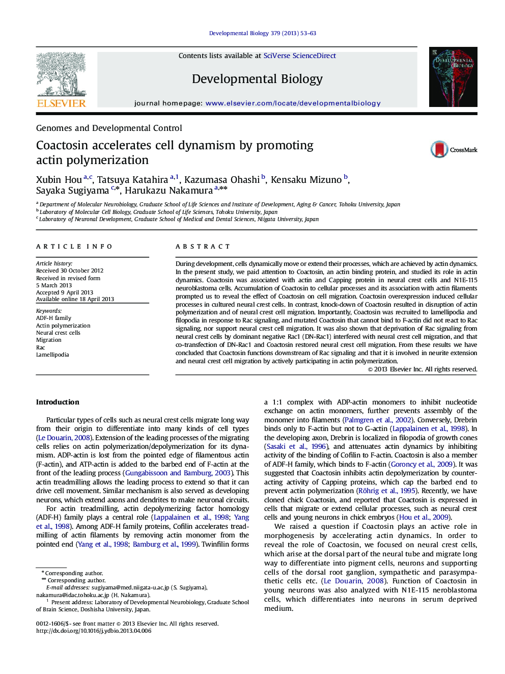 Coactosin accelerates cell dynamism by promoting actin polymerization