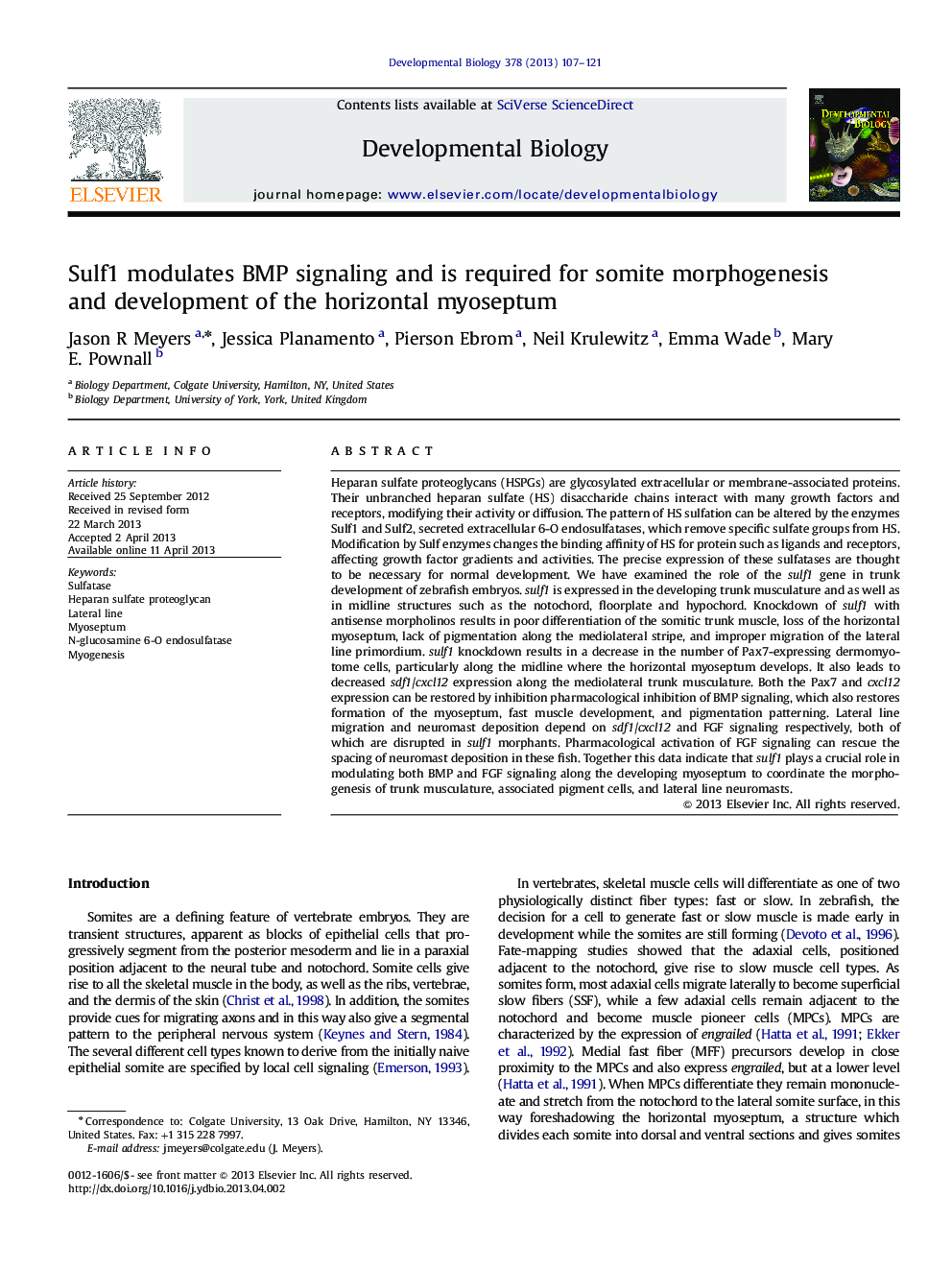 Sulf1 modulates BMP signaling and is required for somite morphogenesis and development of the horizontal myoseptum