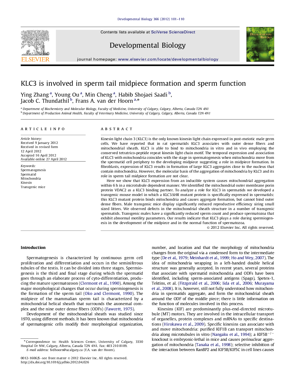 KLC3 is involved in sperm tail midpiece formation and sperm function