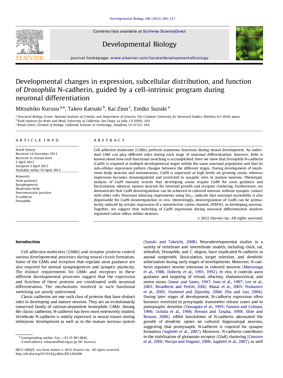 Developmental changes in expression, subcellular distribution, and function of Drosophila N-cadherin, guided by a cell-intrinsic program during neuronal differentiation