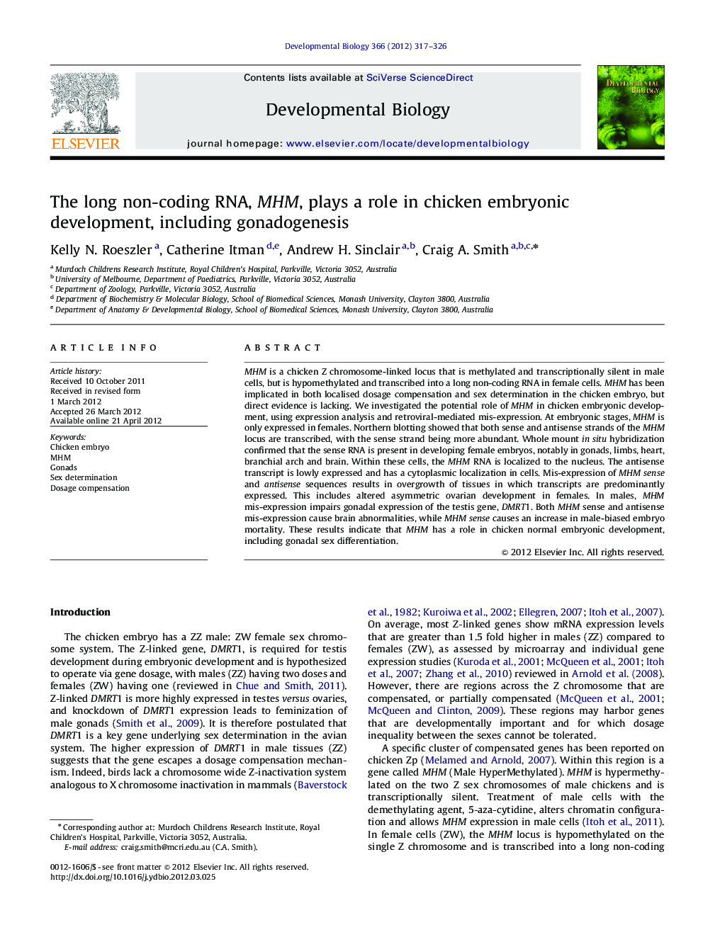 The long non-coding RNA, MHM, plays a role in chicken embryonic development, including gonadogenesis