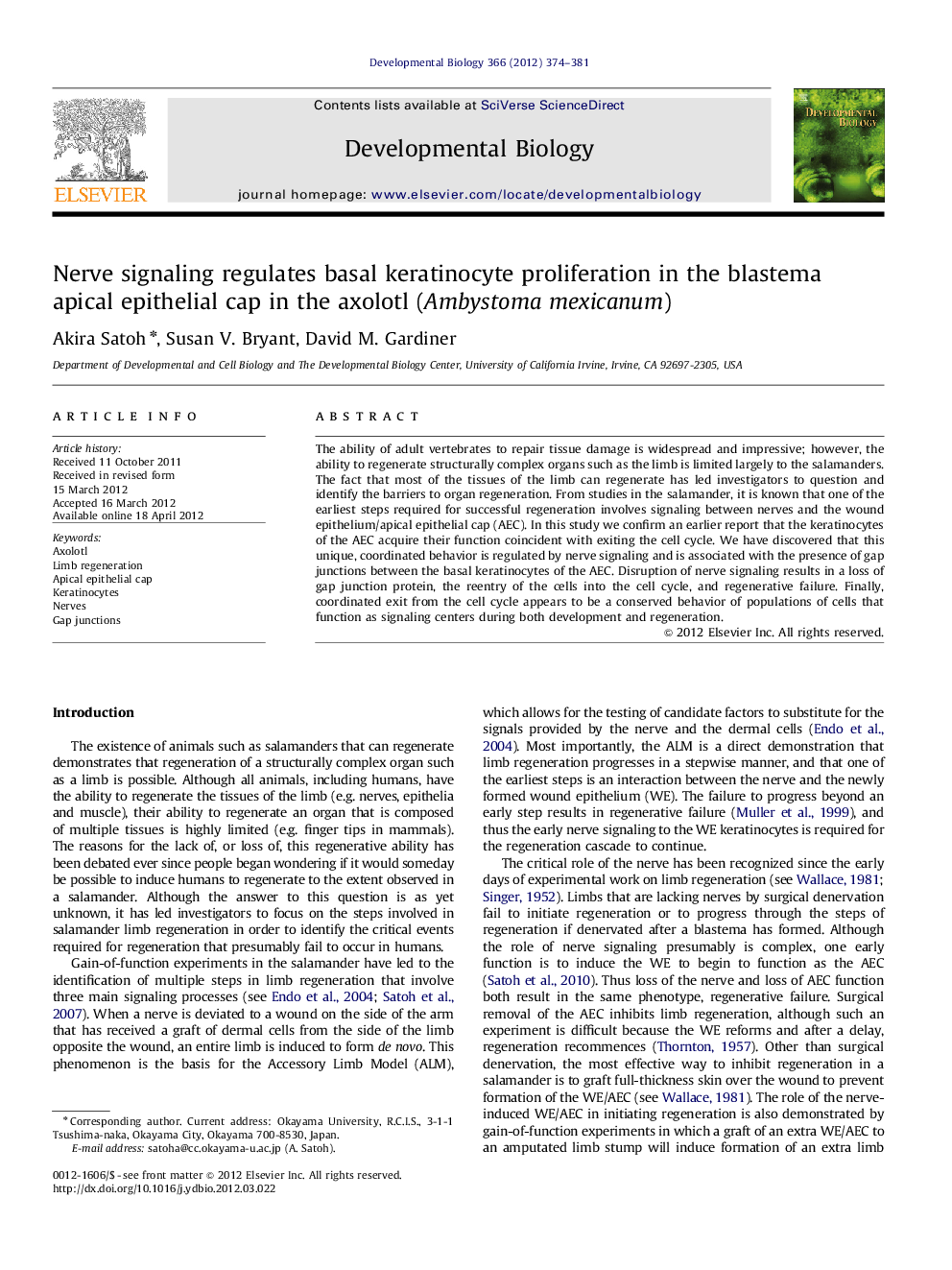 Nerve signaling regulates basal keratinocyte proliferation in the blastema apical epithelial cap in the axolotl (Ambystoma mexicanum)