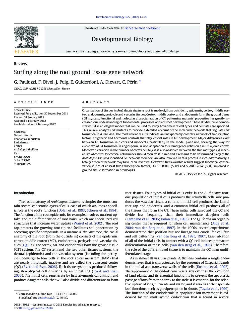 Surfing along the root ground tissue gene network