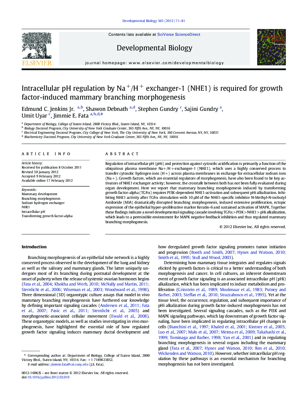 Intracellular pH regulation by Na+/H+ exchanger-1 (NHE1) is required for growth factor-induced mammary branching morphogenesis