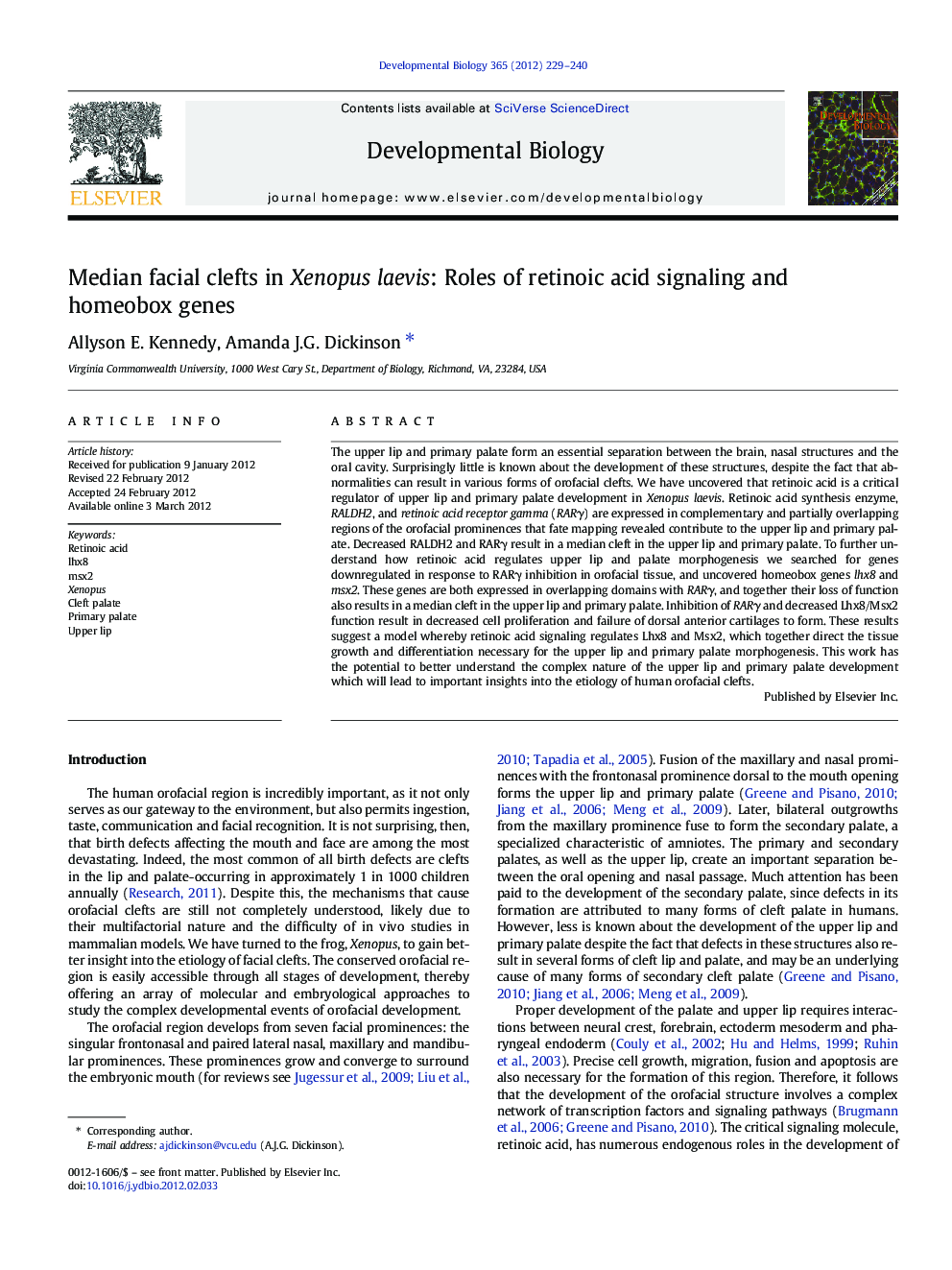 Median facial clefts in Xenopus laevis: Roles of retinoic acid signaling and homeobox genes