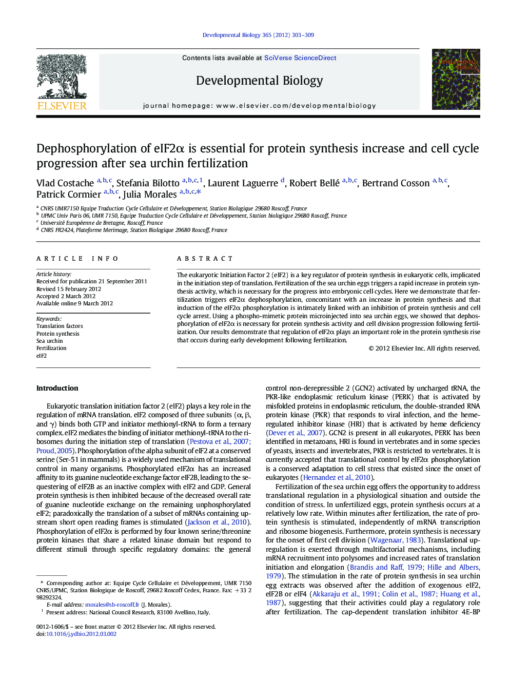 Dephosphorylation of eIF2Î± is essential for protein synthesis increase and cell cycle progression after sea urchin fertilization