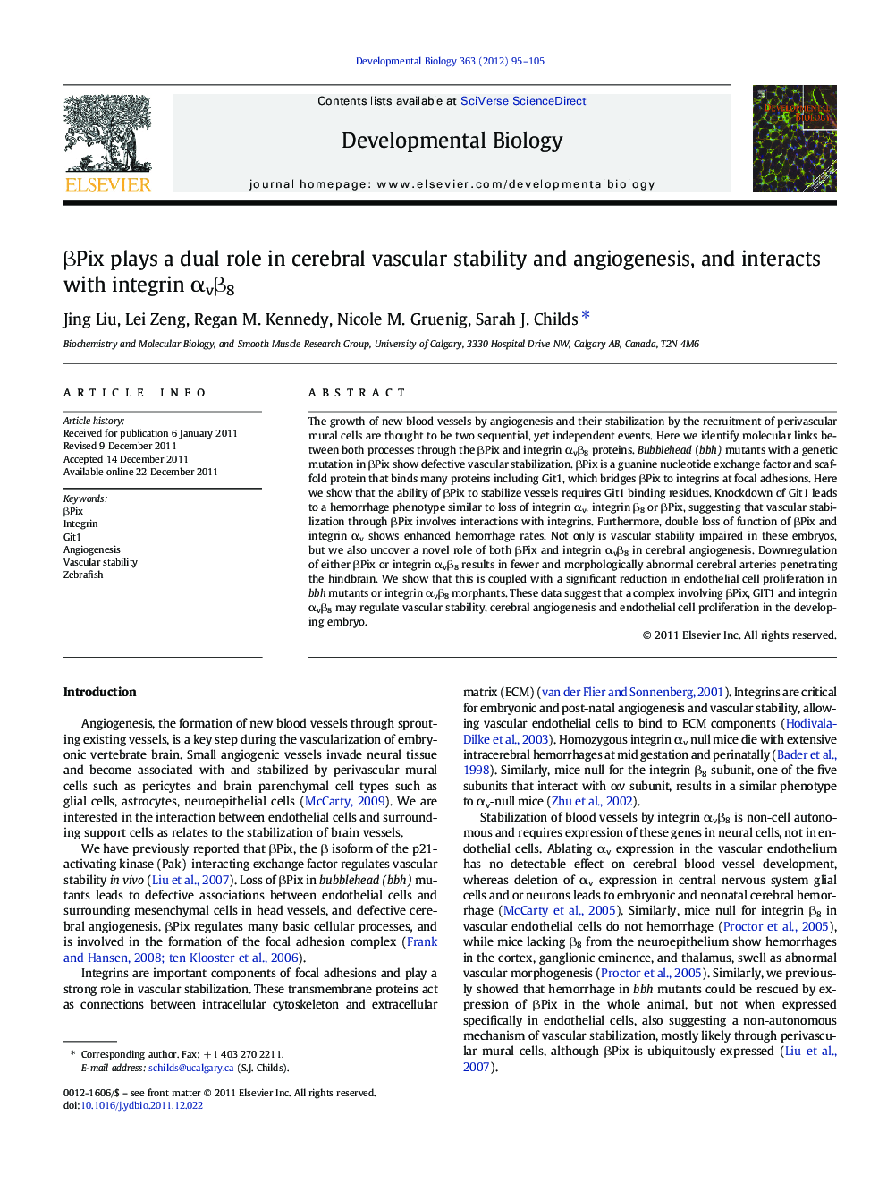 Î²Pix plays a dual role in cerebral vascular stability and angiogenesis, and interacts with integrin Î±vÎ²8