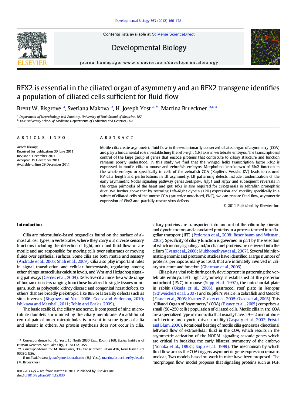 RFX2 is essential in the ciliated organ of asymmetry and an RFX2 transgene identifies a population of ciliated cells sufficient for fluid flow