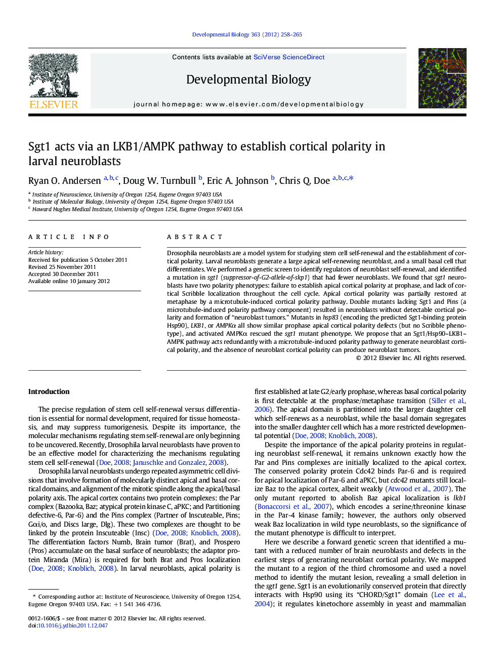 Sgt1 acts via an LKB1/AMPK pathway to establish cortical polarity in larval neuroblasts