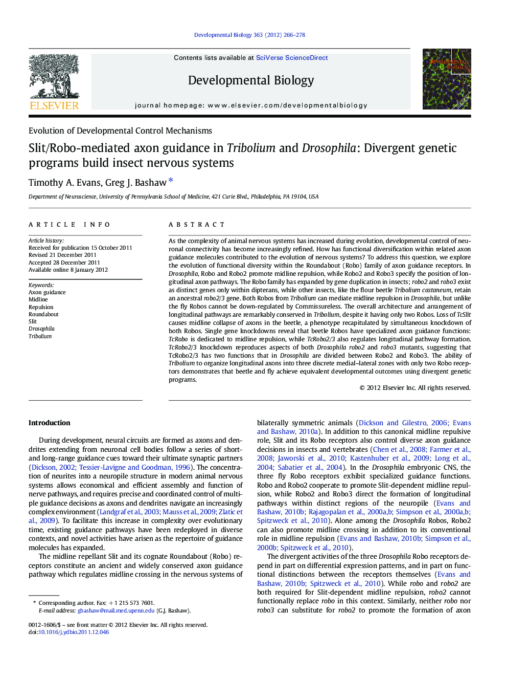 Slit/Robo-mediated axon guidance in Tribolium and Drosophila: Divergent genetic programs build insect nervous systems