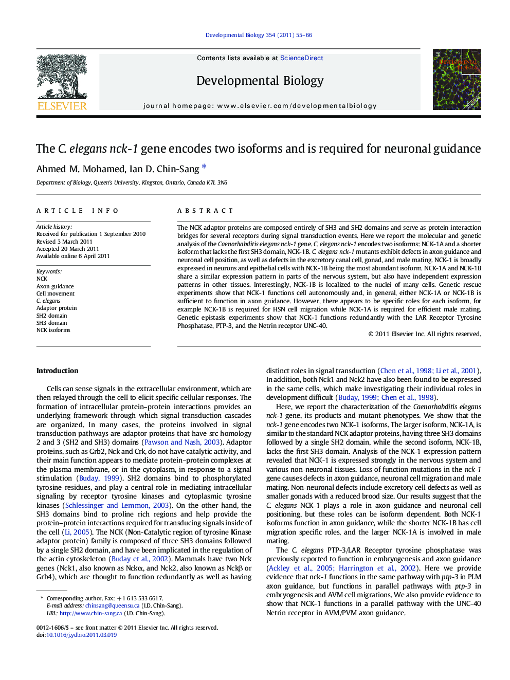 The C. elegans nck-1 gene encodes two isoforms and is required for neuronal guidance