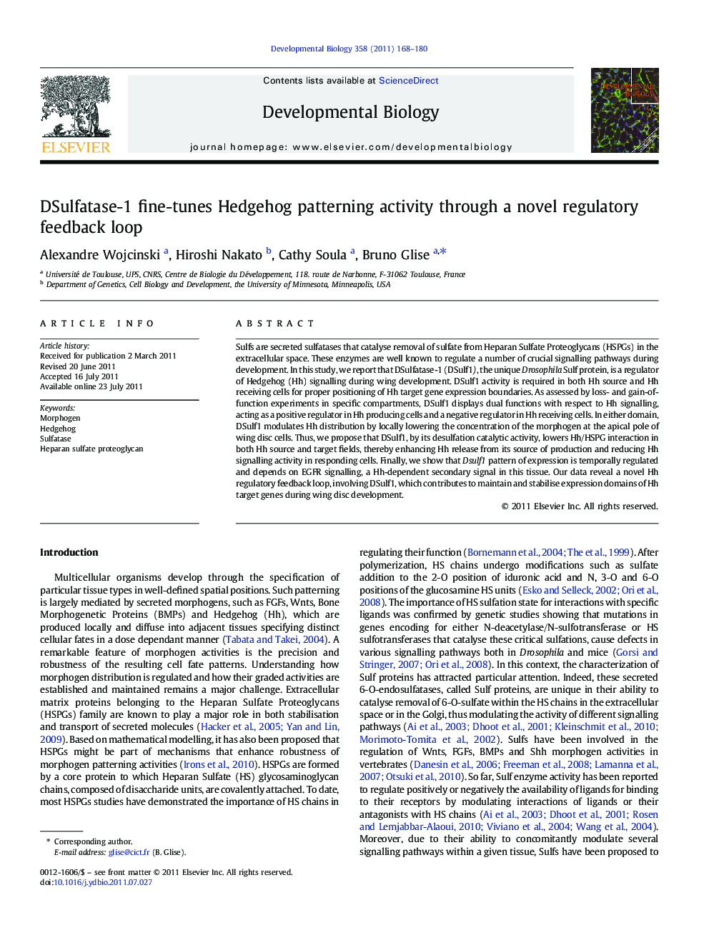 DSulfatase-1 fine-tunes Hedgehog patterning activity through a novel regulatory feedback loop