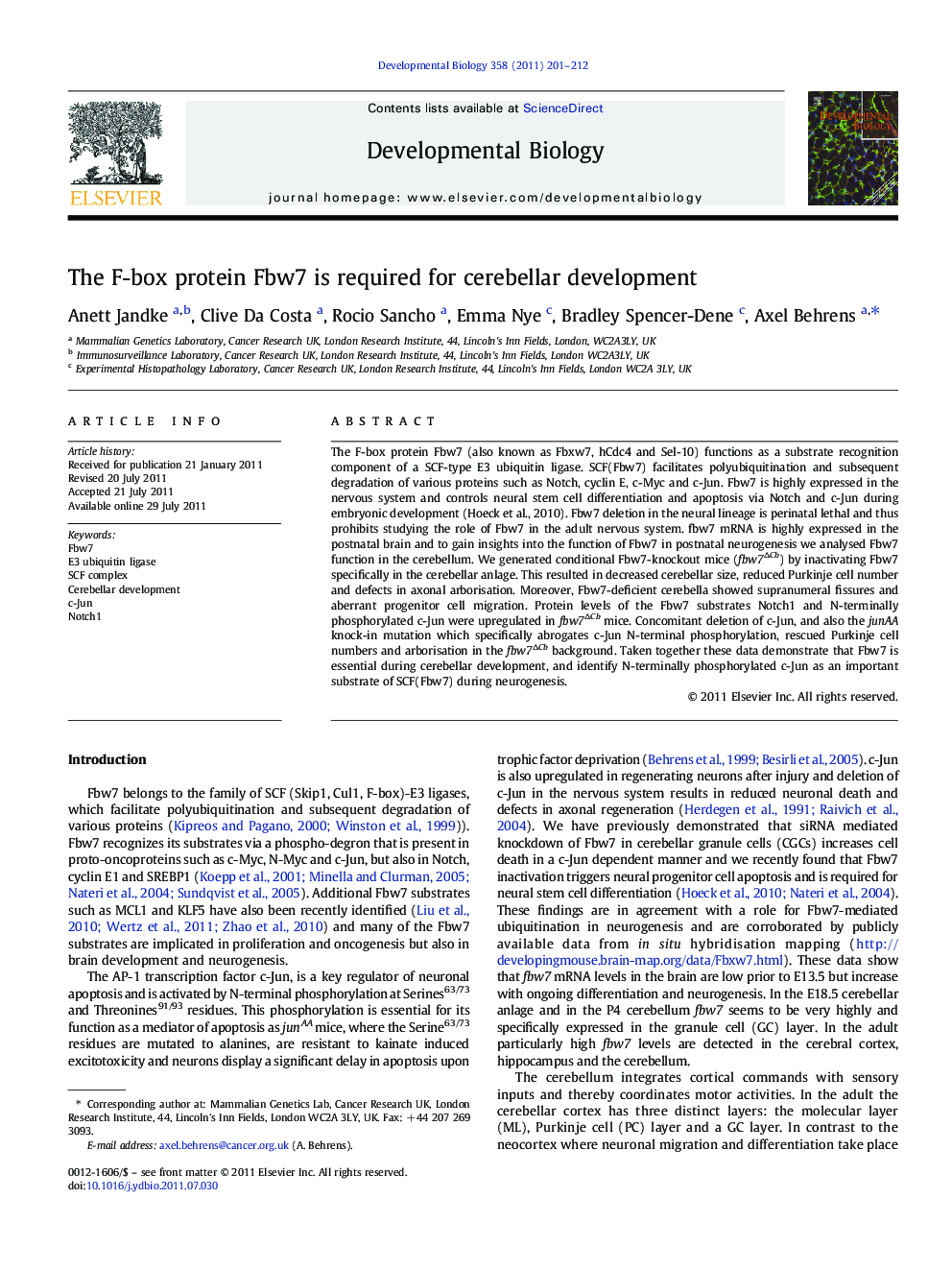 The F-box protein Fbw7 is required for cerebellar development