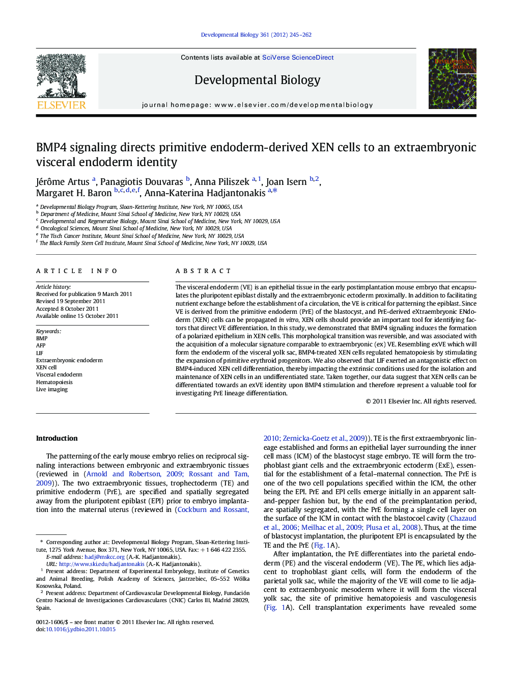 BMP4 signaling directs primitive endoderm-derived XEN cells to an extraembryonic visceral endoderm identity