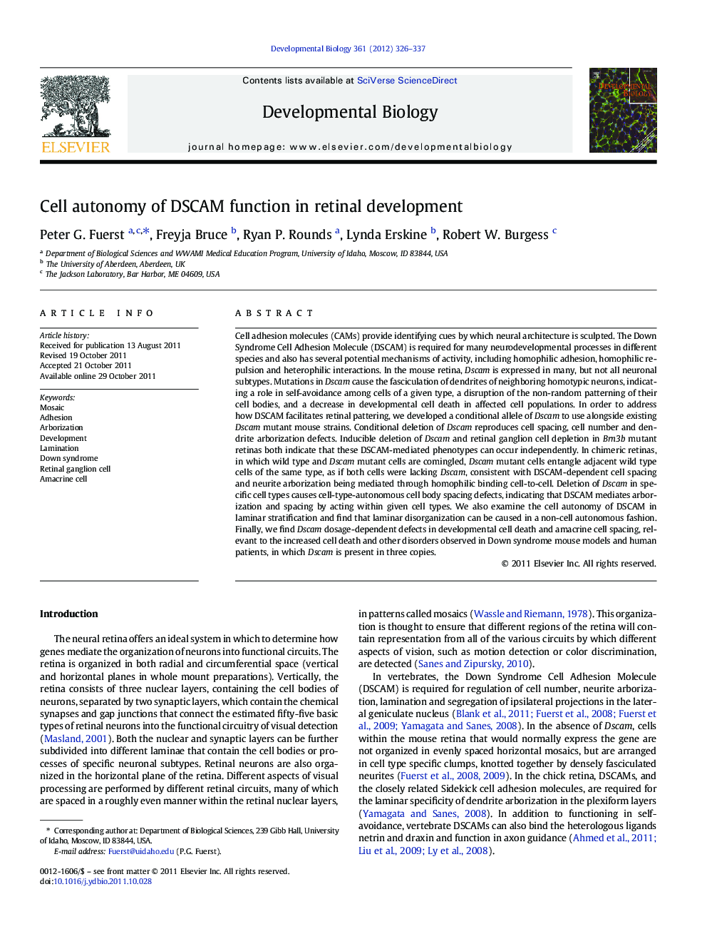 Cell autonomy of DSCAM function in retinal development