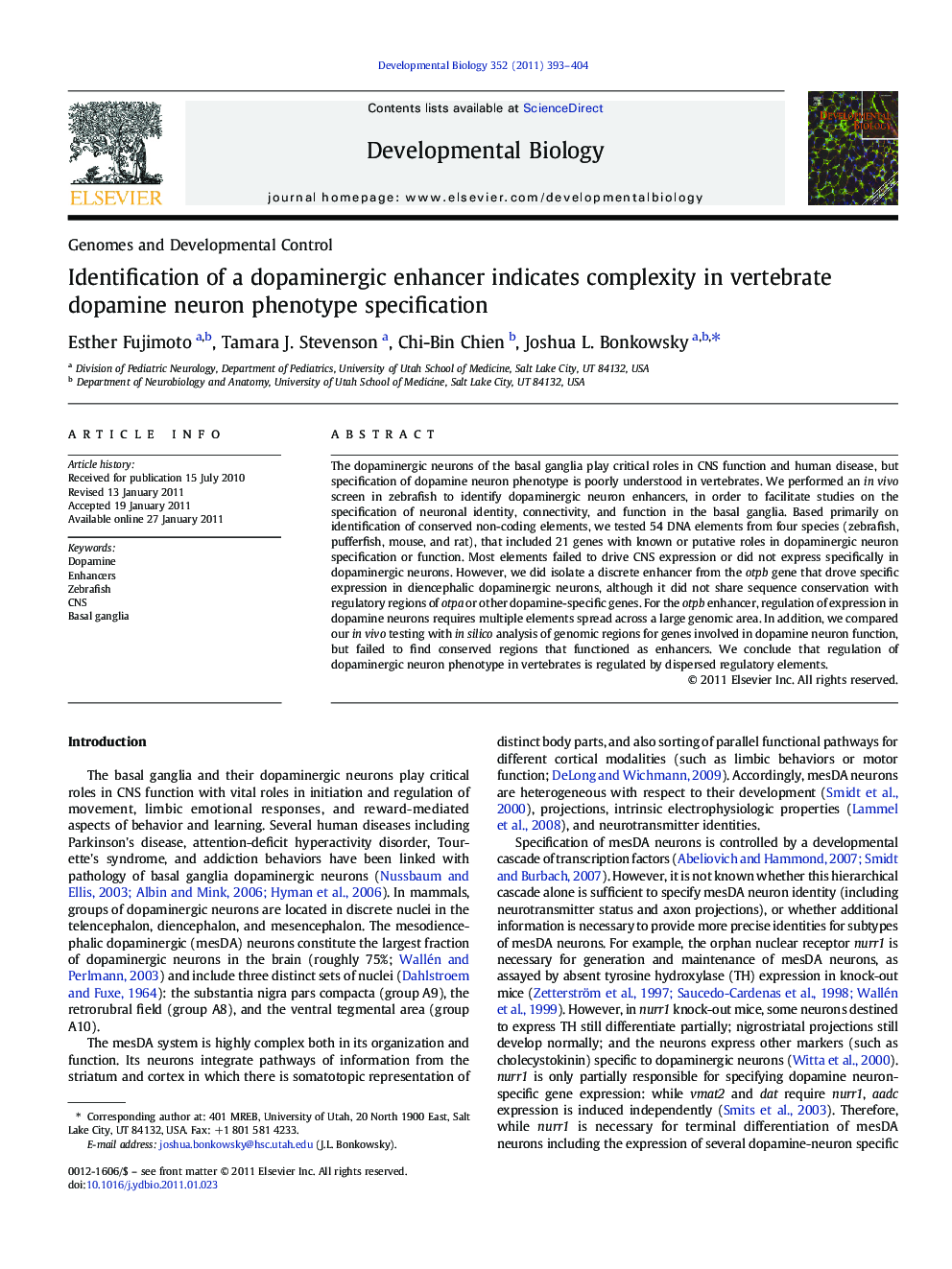 Identification of a dopaminergic enhancer indicates complexity in vertebrate dopamine neuron phenotype specification