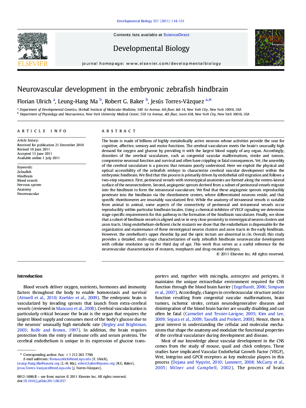 Neurovascular development in the embryonic zebrafish hindbrain