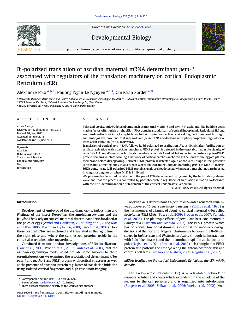 Bi-polarized translation of ascidian maternal mRNA determinant pem-1 associated with regulators of the translation machinery on cortical Endoplasmic Reticulum (cER)