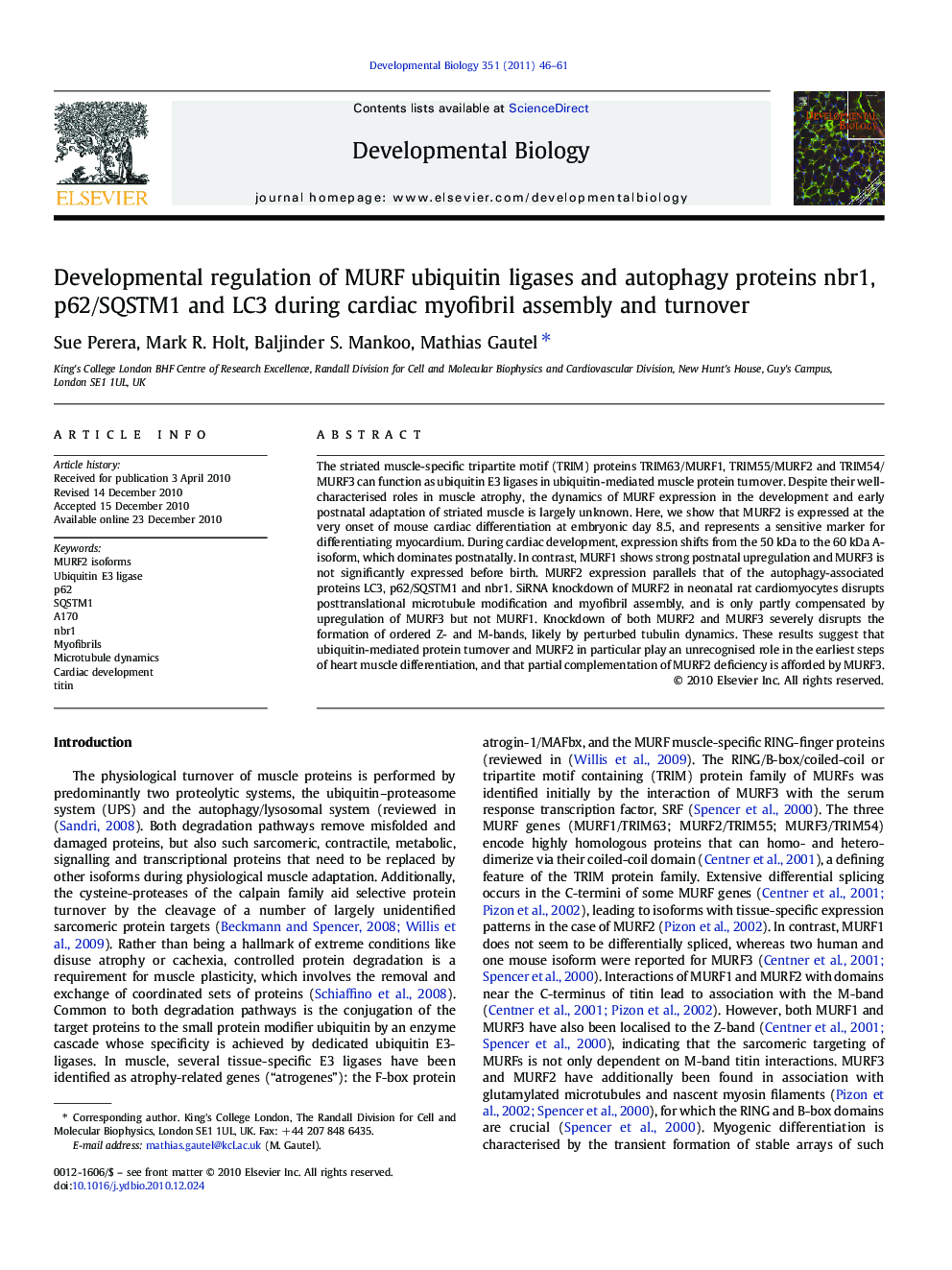 Developmental regulation of MURF ubiquitin ligases and autophagy proteins nbr1, p62/SQSTM1 and LC3 during cardiac myofibril assembly and turnover