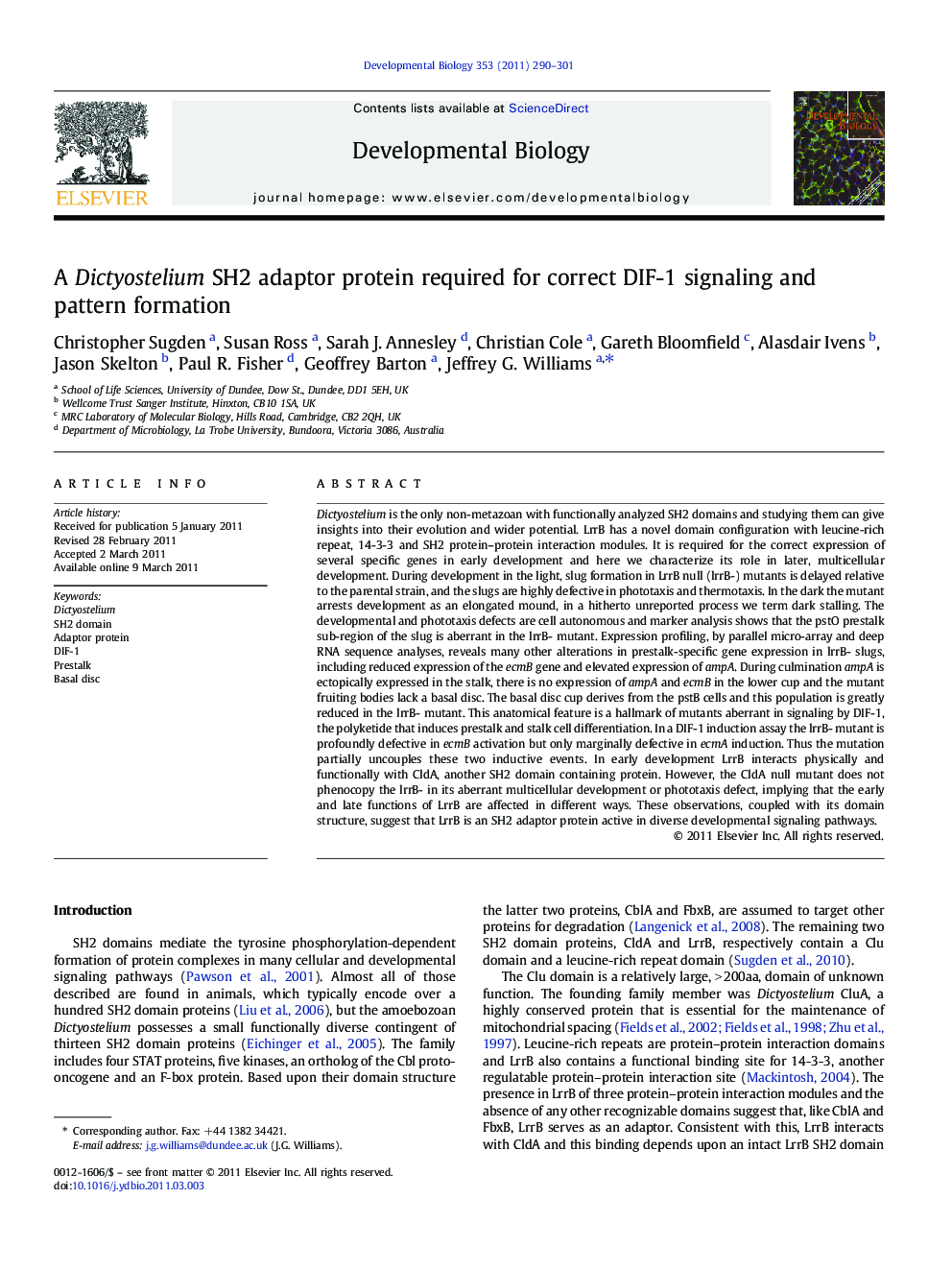 A Dictyostelium SH2 adaptor protein required for correct DIF-1 signaling and pattern formation