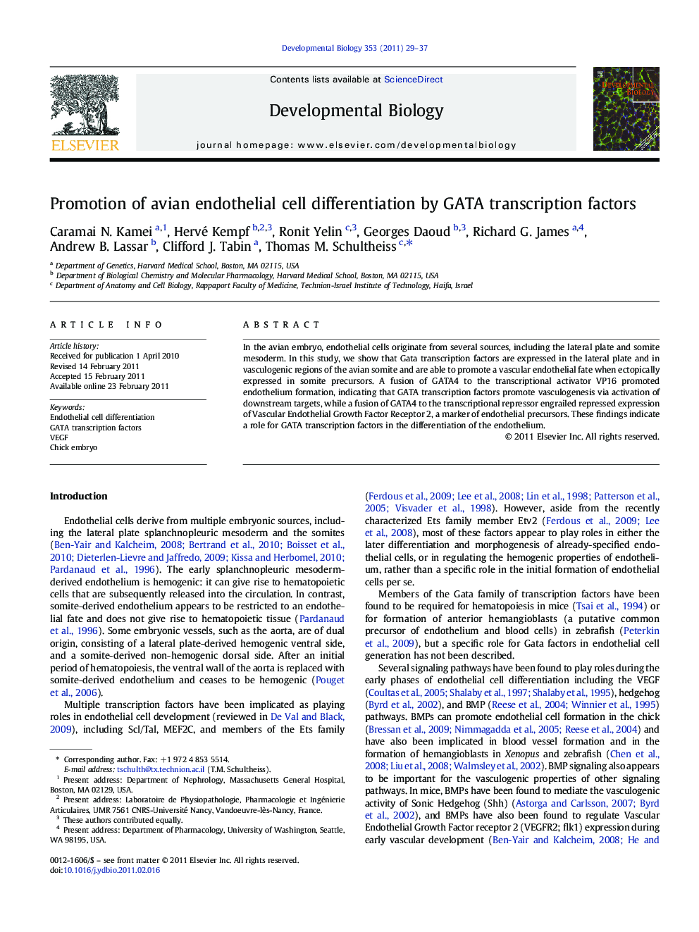 Promotion of avian endothelial cell differentiation by GATA transcription factors