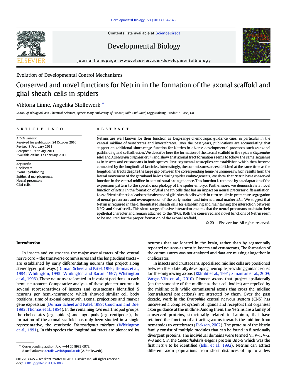 Conserved and novel functions for Netrin in the formation of the axonal scaffold and glial sheath cells in spiders