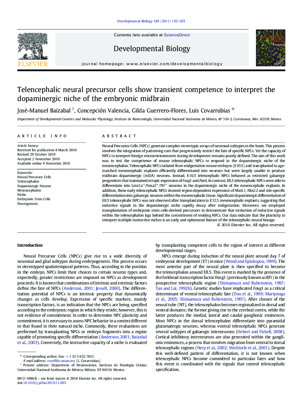 Telencephalic neural precursor cells show transient competence to interpret the dopaminergic niche of the embryonic midbrain