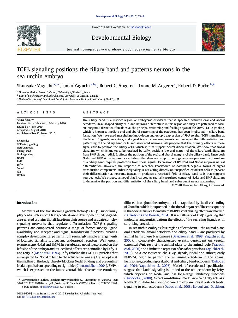 TGFÎ² signaling positions the ciliary band and patterns neurons in the sea urchin embryo