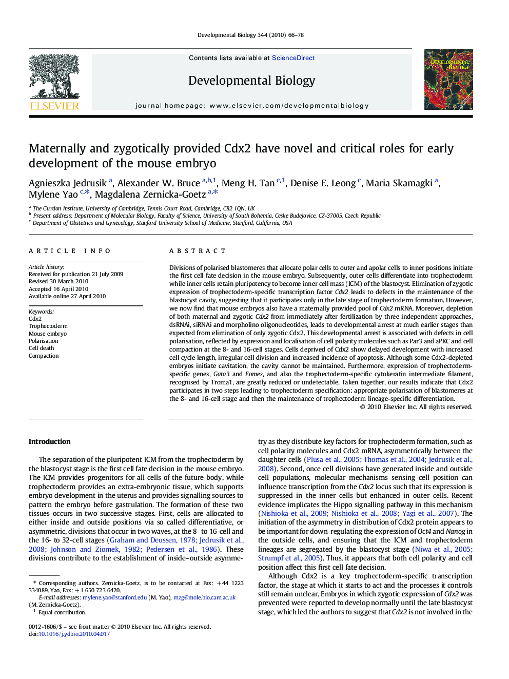 Maternally and zygotically provided Cdx2 have novel and critical roles for early development of the mouse embryo