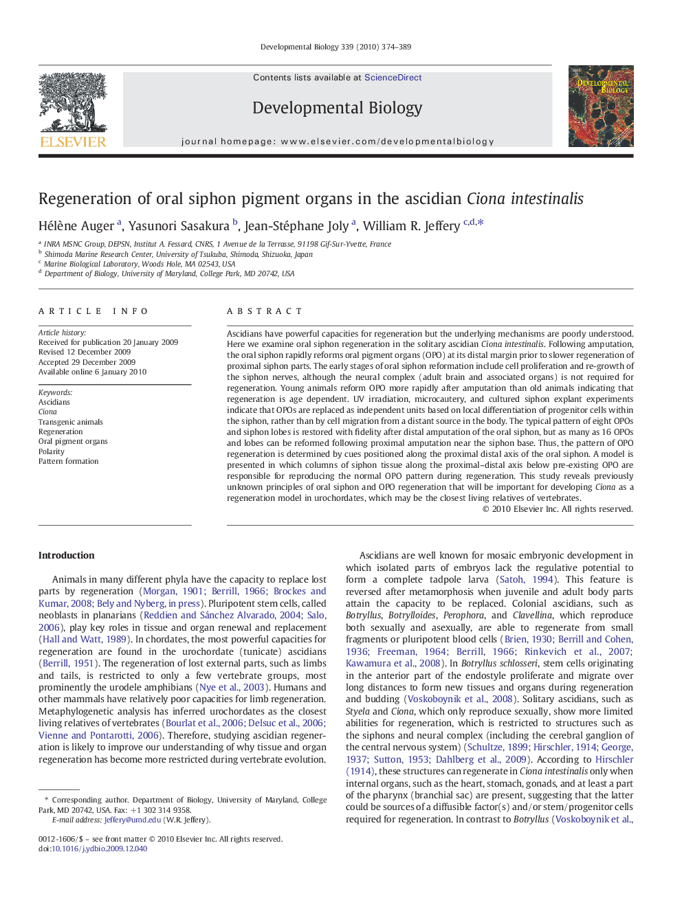 Regeneration of oral siphon pigment organs in the ascidian Ciona intestinalis