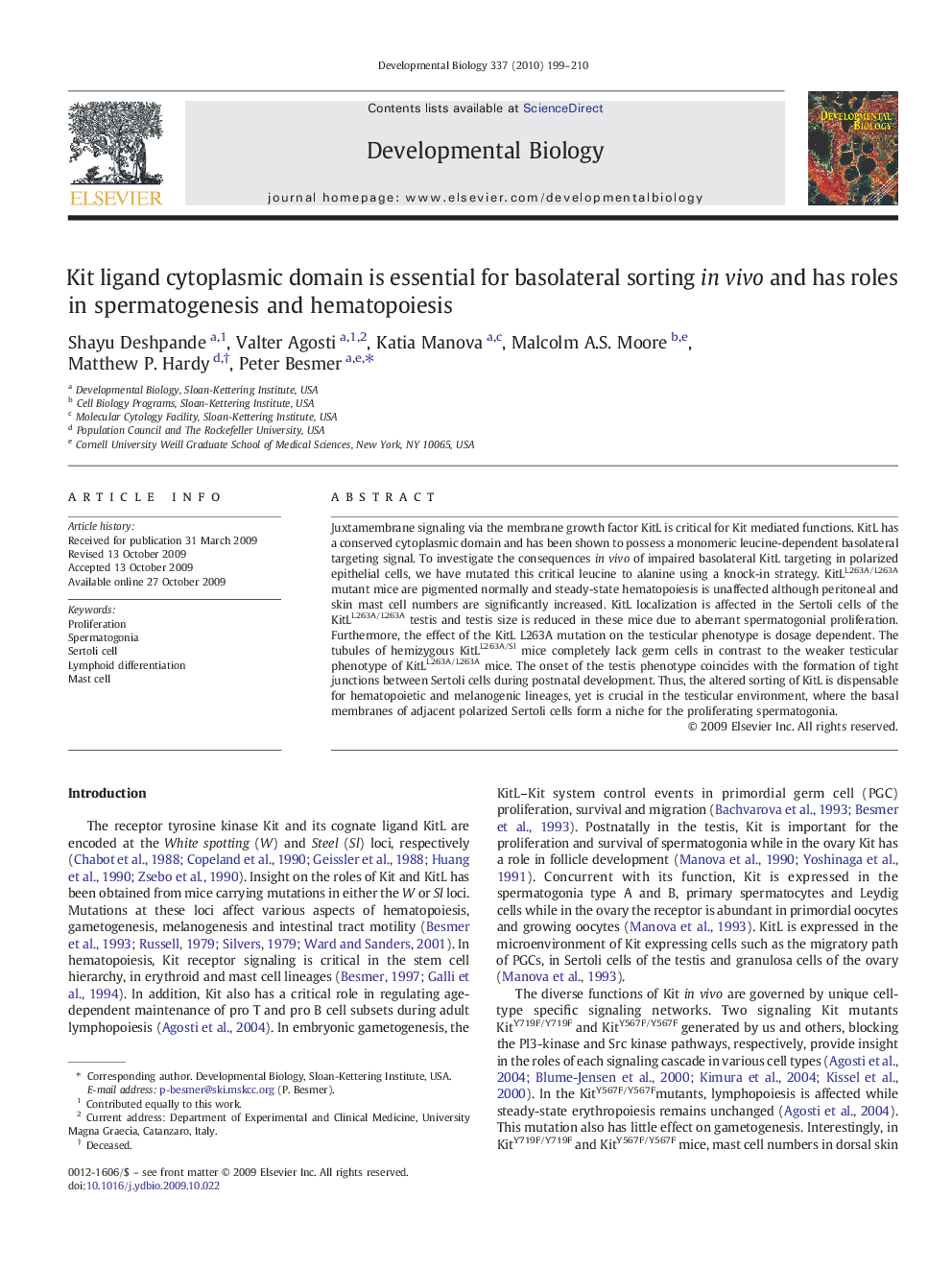 Kit ligand cytoplasmic domain is essential for basolateral sorting in vivo and has roles in spermatogenesis and hematopoiesis