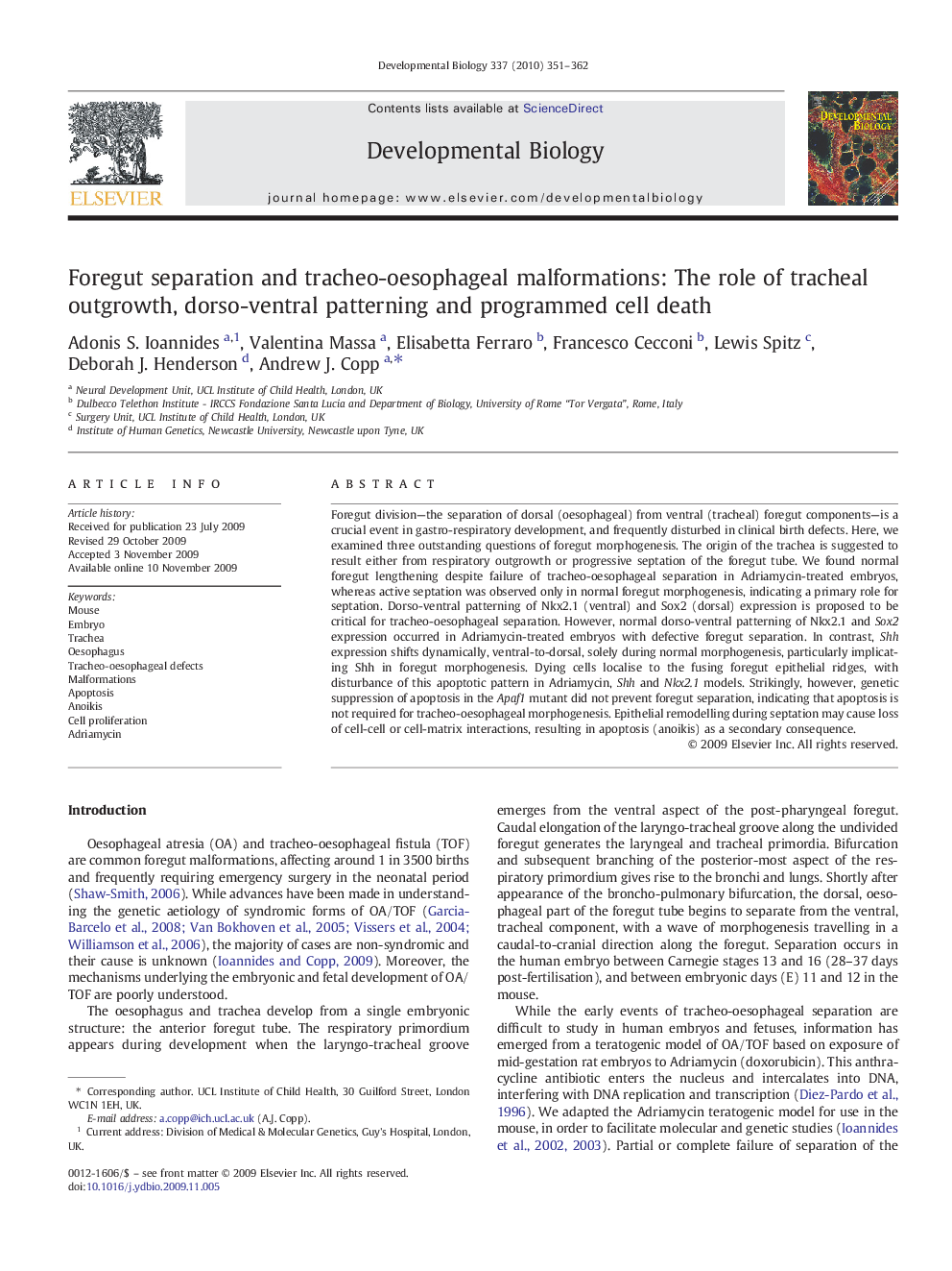 Foregut separation and tracheo-oesophageal malformations: The role of tracheal outgrowth, dorso-ventral patterning and programmed cell death