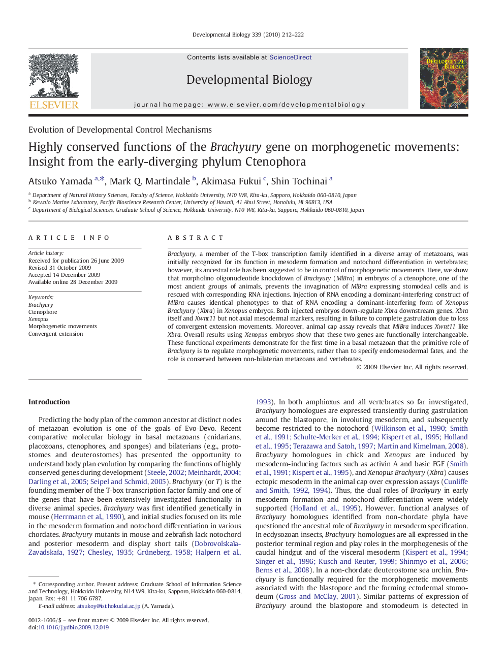 Highly conserved functions of the Brachyury gene on morphogenetic movements: Insight from the early-diverging phylum Ctenophora