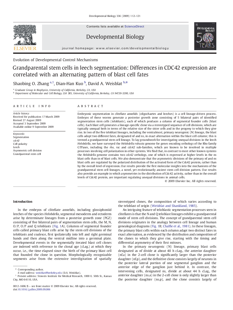 Grandparental stem cells in leech segmentation: Differences in CDC42 expression are correlated with an alternating pattern of blast cell fates