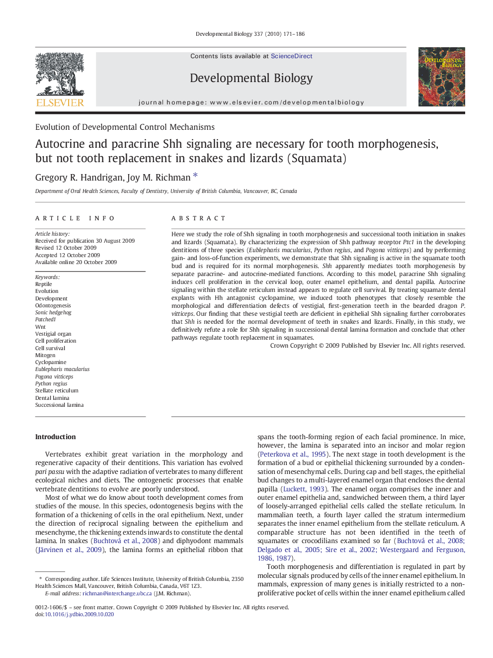 Autocrine and paracrine Shh signaling are necessary for tooth morphogenesis, but not tooth replacement in snakes and lizards (Squamata)