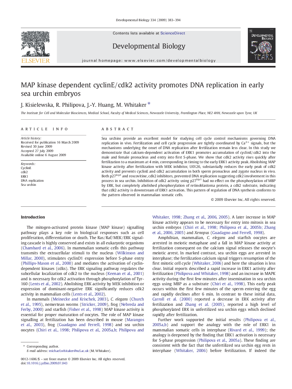 MAP kinase dependent cyclinE/cdk2 activity promotes DNA replication in early sea urchin embryos