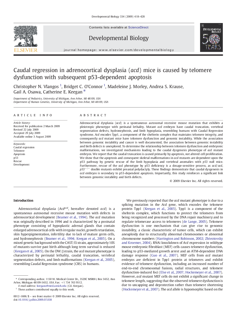 Caudal regression in adrenocortical dysplasia (acd) mice is caused by telomere dysfunction with subsequent p53-dependent apoptosis