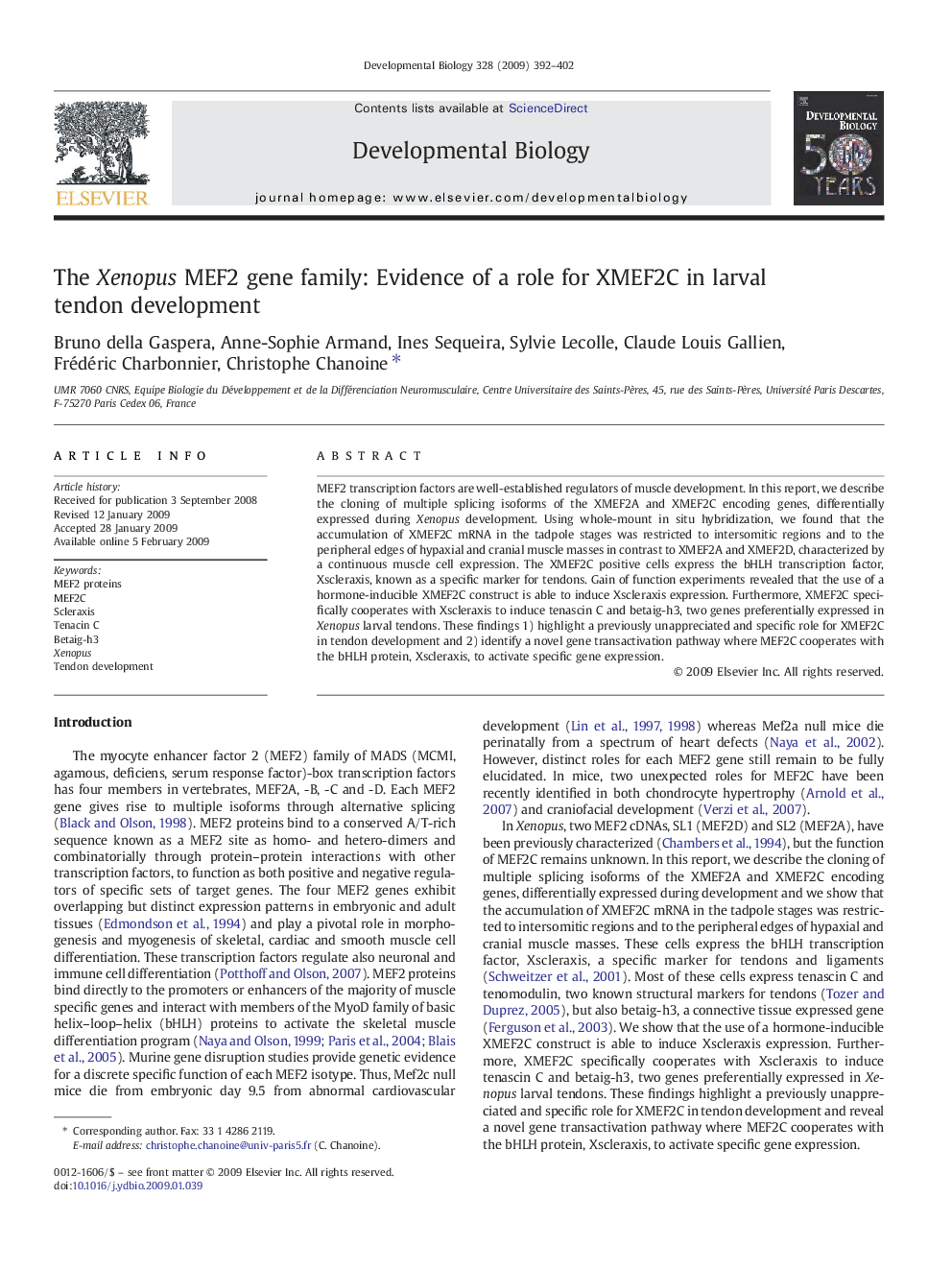 The Xenopus MEF2 gene family: Evidence of a role for XMEF2C in larval tendon development