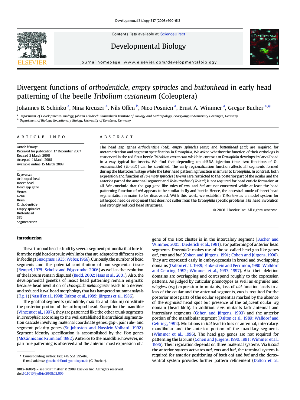 Divergent functions of orthodenticle, empty spiracles and buttonhead in early head patterning of the beetle Tribolium castaneum (Coleoptera)