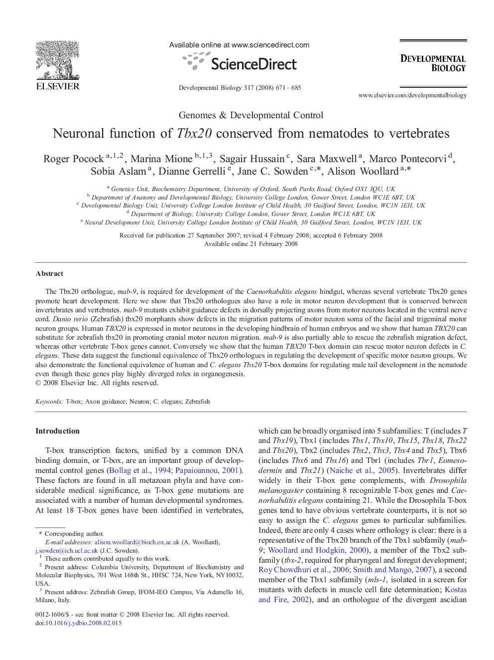 Neuronal function of Tbx20 conserved from nematodes to vertebrates