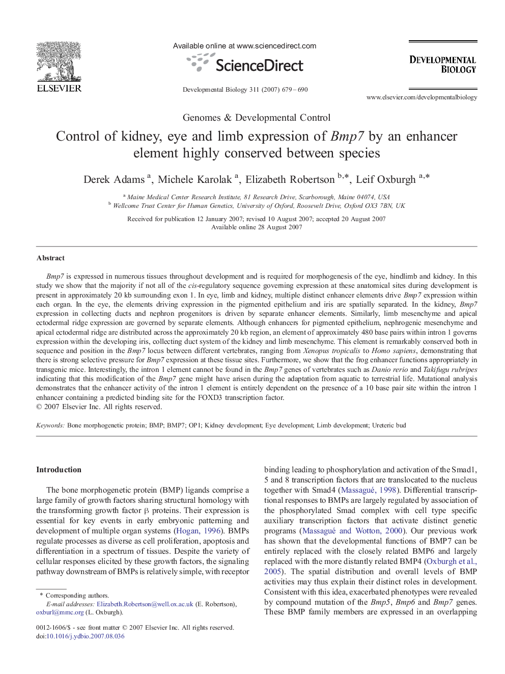 Control of kidney, eye and limb expression of Bmp7 by an enhancer element highly conserved between species