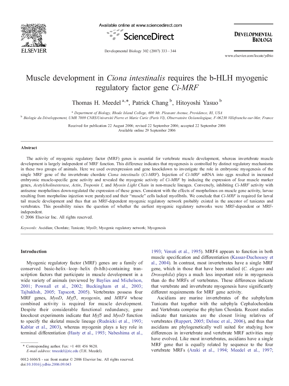 Muscle development in Ciona intestinalis requires the b-HLH myogenic regulatory factor gene Ci-MRF