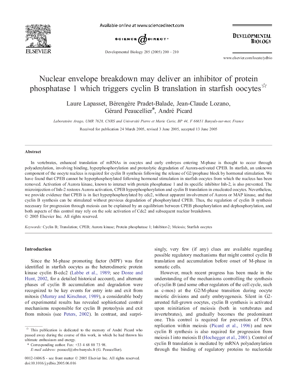 Nuclear envelope breakdown may deliver an inhibitor of protein phosphatase 1 which triggers cyclin B translation in starfish oocytes