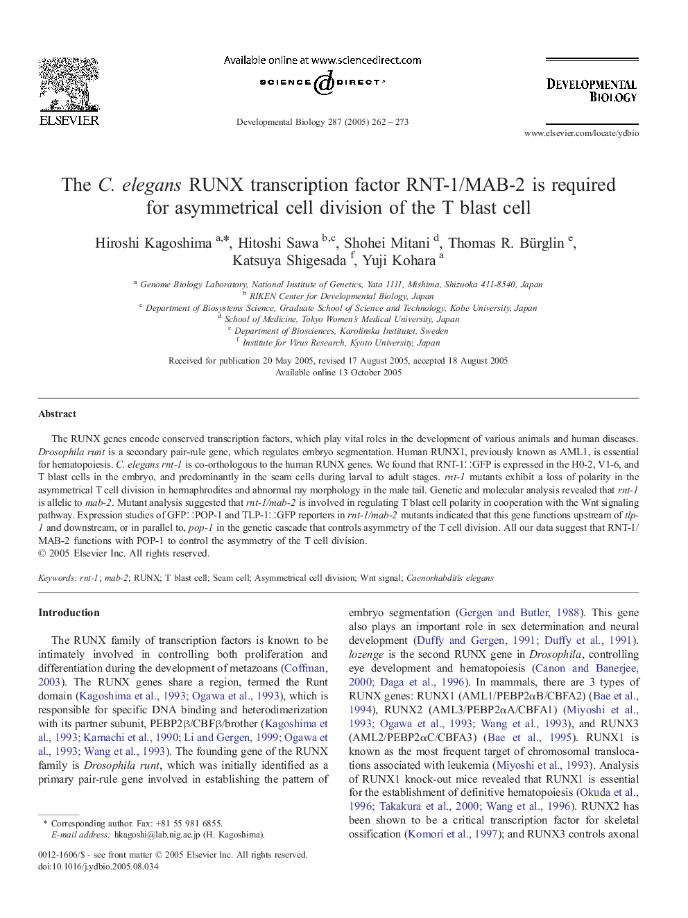 The C. elegans RUNX transcription factor RNT-1/MAB-2 is required for asymmetrical cell division of the T blast cell