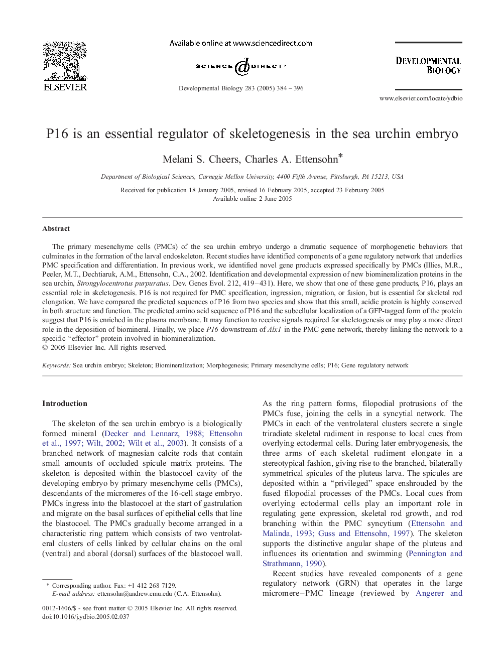 P16 is an essential regulator of skeletogenesis in the sea urchin embryo