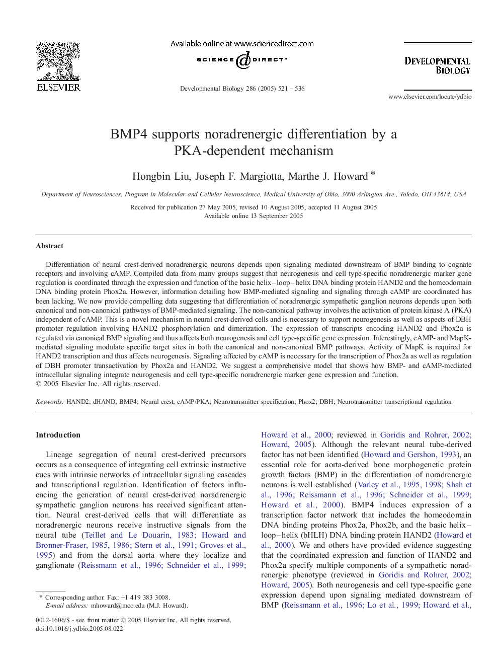 BMP4 supports noradrenergic differentiation by a PKA-dependent mechanism