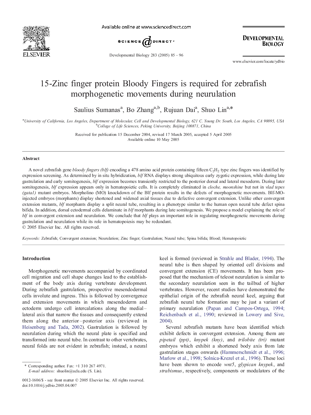 15-Zinc finger protein Bloody Fingers is required for zebrafish morphogenetic movements during neurulation