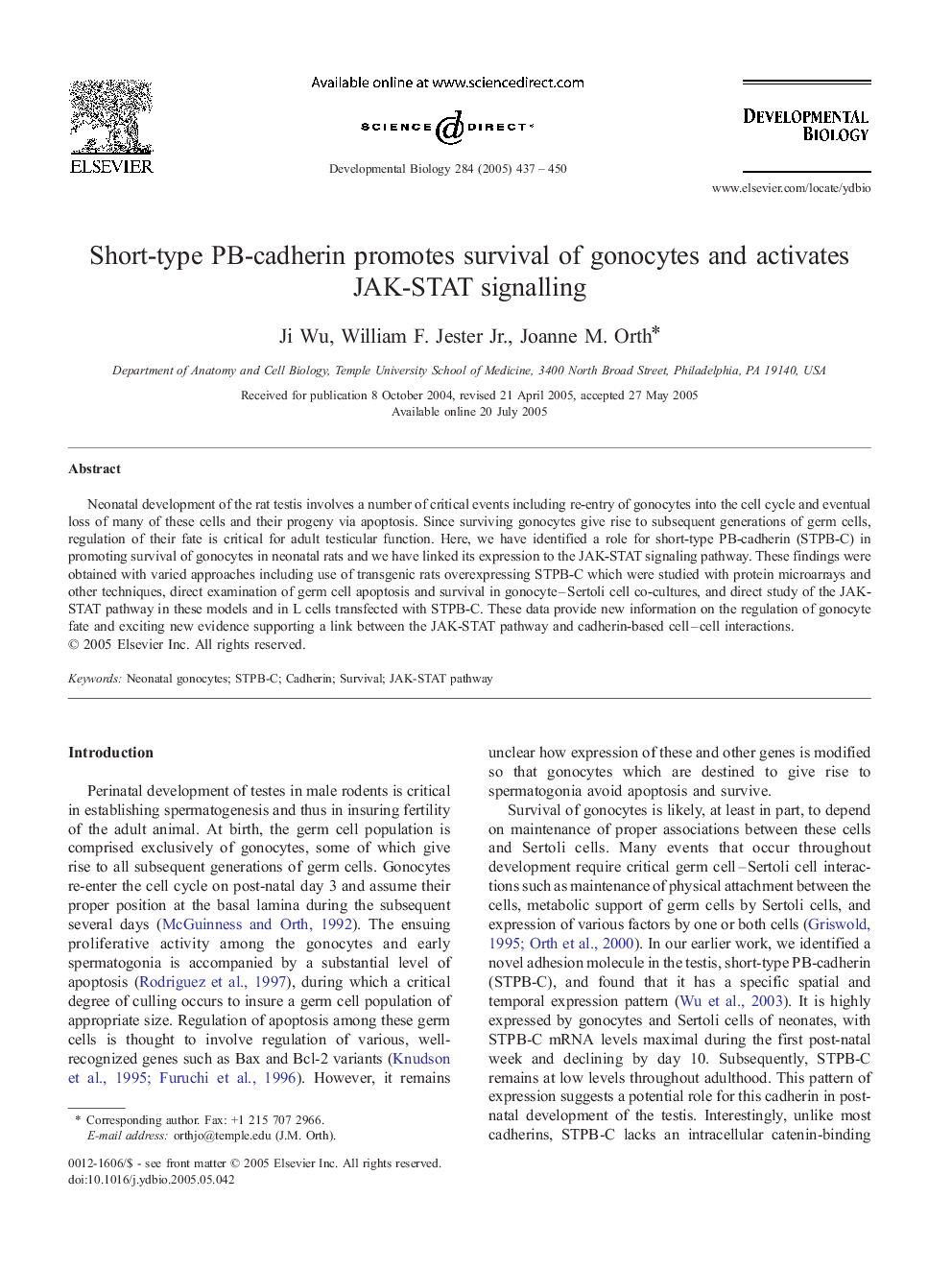 Short-type PB-cadherin promotes survival of gonocytes and activates JAK-STAT signalling